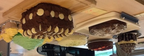 Herman The German Friendship Cake Christening Party