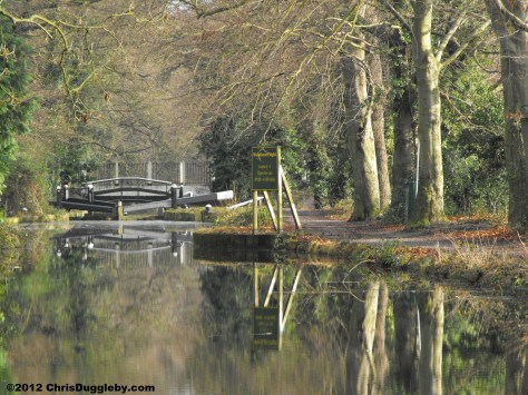 Bridge Reflections over Surrey Canal