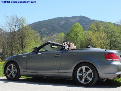 Uddele the Singing Cow Visits RISKKO in her Convertible