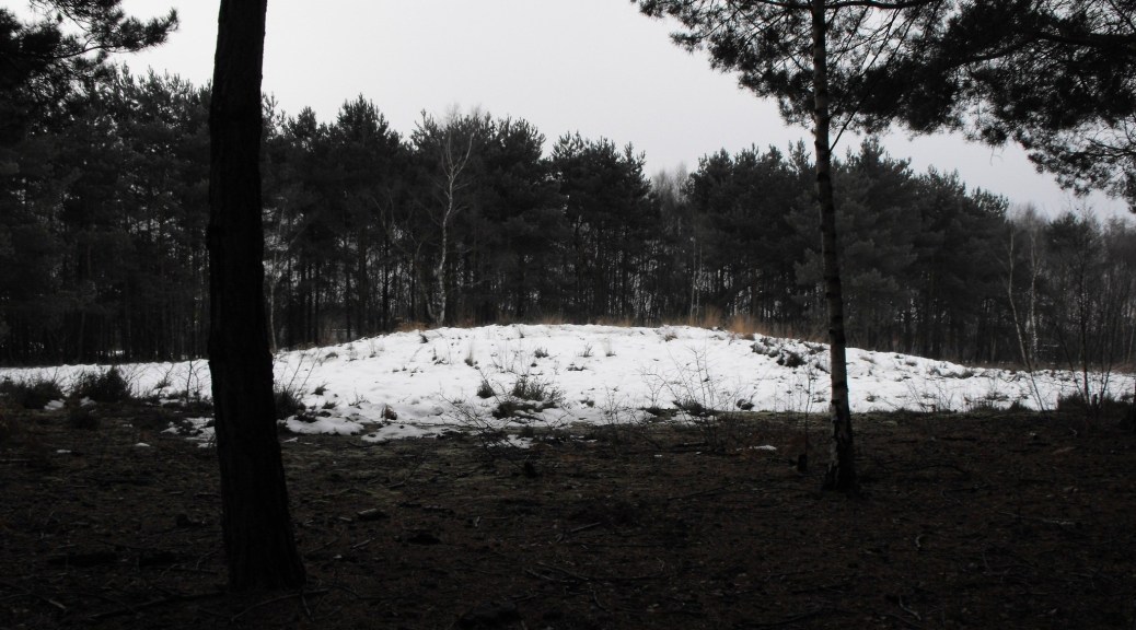 Close up of Woking's Prehistoric Burial Mound in Horsell Common