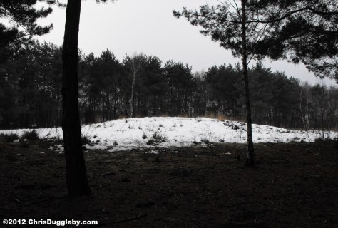 Close up of Woking's Prehistoric Burial Mound in Horsell Common