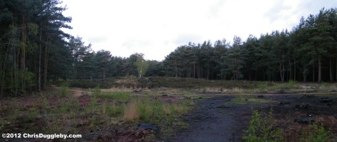 Largest Prehistoric Burial Mound in Horsell Common