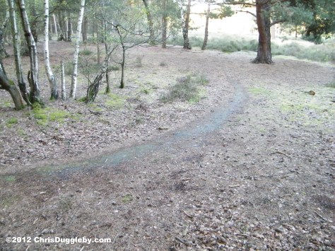 Horsell Common Barrow Nr 4 Right side