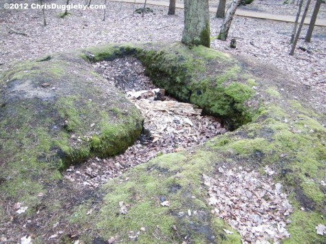 Horsell Common Disturbed Mound C