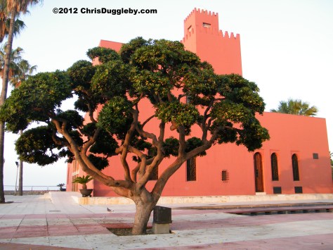 Dawn breaks on an important day for Anglo-Spanish high society