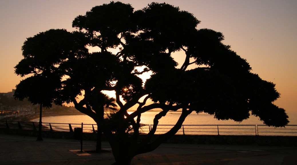 Another exciting day draws to a close for the Spanish Dugglebys