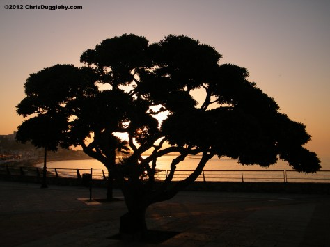 Another exciting day draws to a close for the Spanish Dugglebys