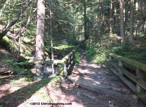 Entrance via wooden bridge to forest path next to Osterbach on way to Schwarzenberg