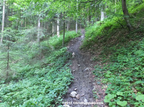 The middle stretch of the journey up the 'Black Mountain' once again gets steeper and wetter