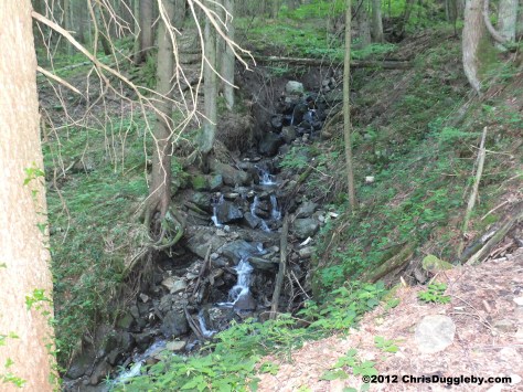 If you like forest waterfalls the challenges of the difficult path are worthwhile