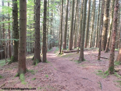 Now for the trip back from the Schwarzenberg to Bad Feilnbach - it should take about 90 minutes