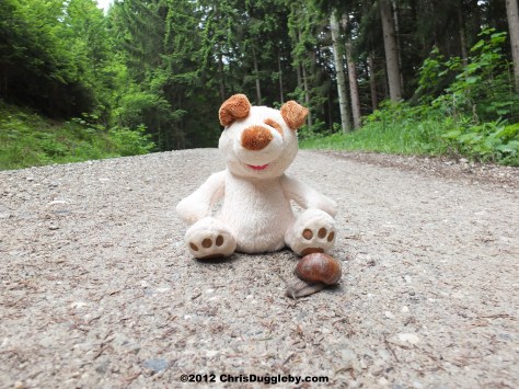 So there was this snail just hoggin the road.......