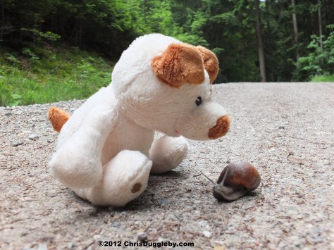 The snail explains why he is called You-Sayin-Bolt (please note not Usain Bolt)