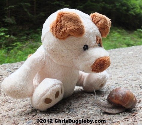 He tells them 'who you sayin bolt to...I will bolt out of here when I am good and ready'