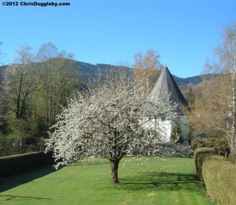 The view from my Alpine Office on a Spring day