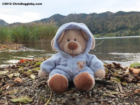 In Autumn sensible teddy bears like Robin Huddy wrap up warm on the beach