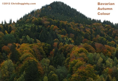 Bavarian Autumn Colours taken from the countryside around Lake Schliersee