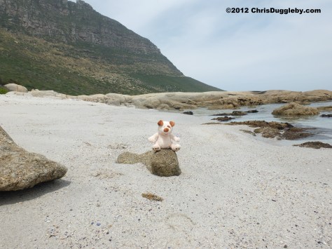 RISKKO visits the smaller beach at Sandy Bay