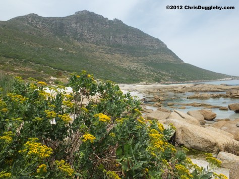 The views from Sandy Bay beach are fantastic - here is the Karbunkel Mountain