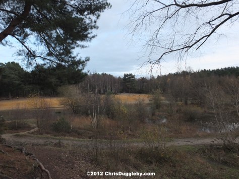 Horsell Common sand pits where H G Wells' Martian Invaders Landed in "War of the Worlds"