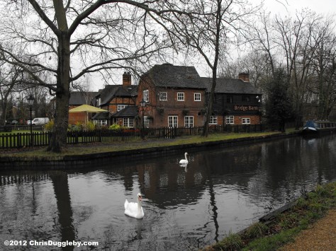 The Basingstoke Canal (with Swans) not far from Horsell Common