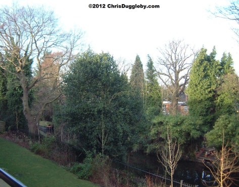 View of the Basingstoke Canal looking out to the left of my balcony in Winter