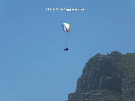 Sometimes the local birds need a little help in getting airborne after a tough day on the beach