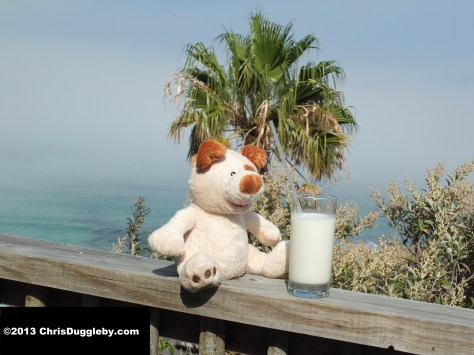 German Authorities are checking out local Milk for carcinogenic Aflatoxin B1 suspected to result from feeding cattle with imported maize contaminated with the mycotoxin