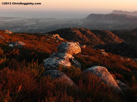As the sun goes down deep red colours illuminate the vegetation giving it a warm glow