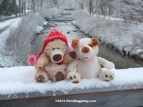 RISKKO enjoys the April snow in the Alps with his friend the Alpine Bear.