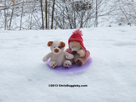 RISKKOs sledge was just big enough for one dog and a small alpine bear: time for fun on the snow covered slopes.