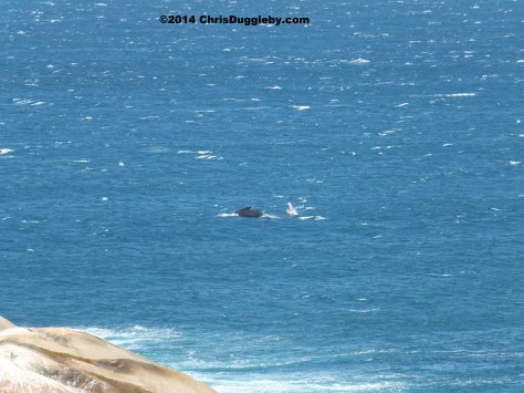 Wilf entices Wendy towards sunset rocks: let the passion fireworks begin