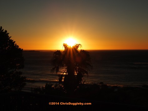 New Years eve is not the best time for my sunset photos due to an inconveniently positioned palm tree