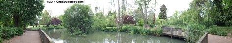 Panoramic View of Duck Pond in Woking Park
