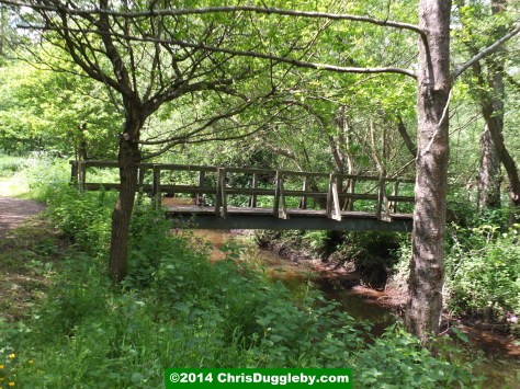 Footbridge Over Hoebridge Stream Near Woking Park