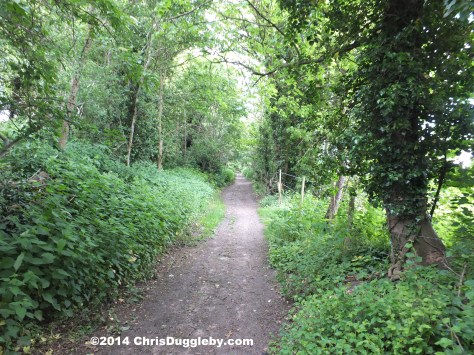 Entrance to Public Bridleway next to Hoebridge Golf Club