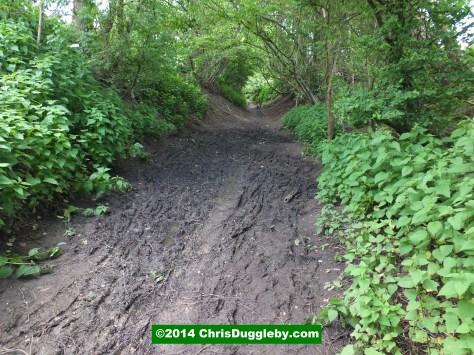 Be Prepared for Mud On the Bridleway
