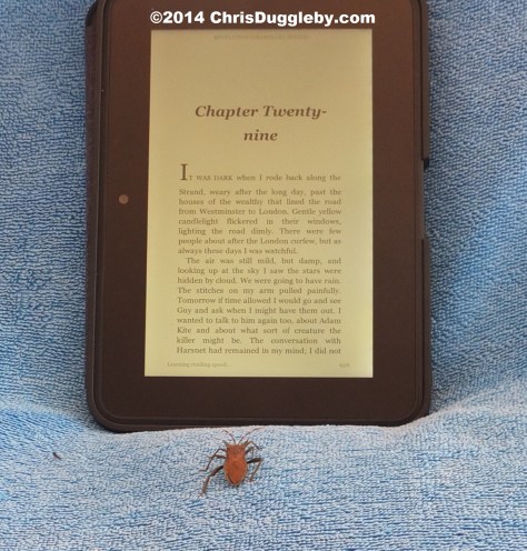 Beatrice Beetle reading the Kindle