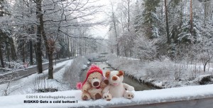 3 RISKKO gets a cold bottom sitting on a bridge in Bad Feilnbach Bavaria