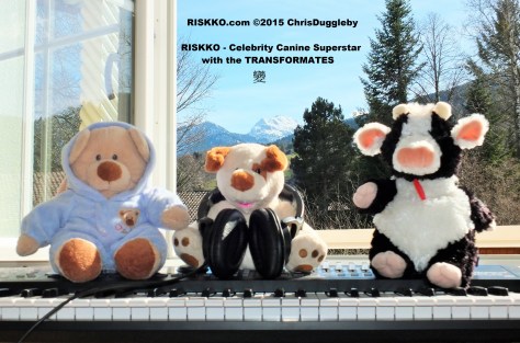 Some of the team that help with the Transformates 變 Recordings in the Alps