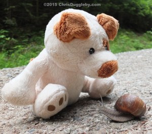 RISKKO tries to pursuade an Alpine Snail to stay in the Forest