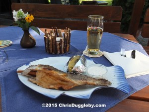 11 Here's the finished product - excellent with a Bavarian Weissbier (Weizenbier or Wheat Beer)