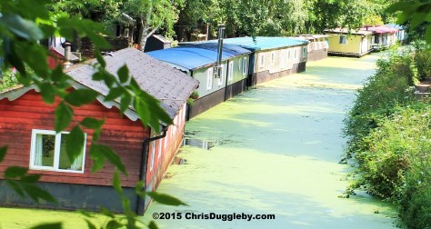 Canal Boat Homes along the Basingstoke Canal