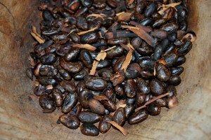 Roasted Cocoa Beans