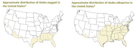 Aedes mosquito distribution maps US