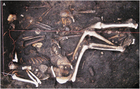 Brandenburg. Germany - Remains of 3 soldiers from Thirty Years’ War (1618-1648)