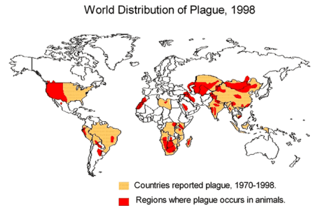 World distribution of plague in people and animals - 1998