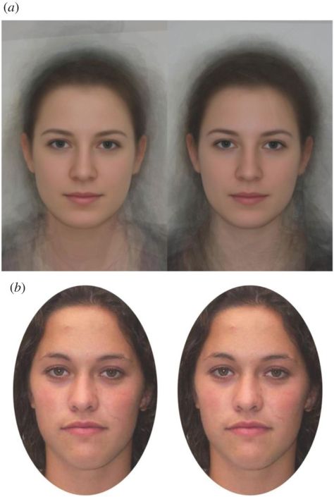 Facial Cues to Ovulation in Women (Photo: Lobmaier, Bobst and Probst)
