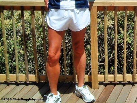 For Dogs White Shorts Look Like A Tablecloth - They Are Encouraged to Look For Juicy Treats