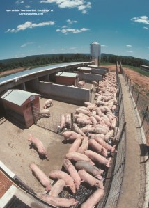 Making Liquid Commodities For Germany's Newest Exchange